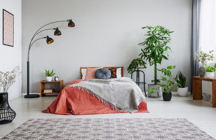Słoneczna sypialnia z samym sobą i roślinami