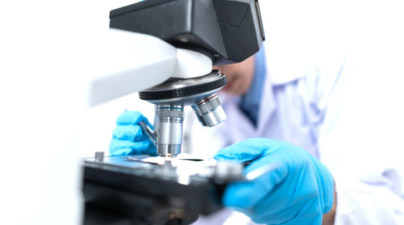 Biotechnologia jest jednym z najbardziej obiecujących i przyszłościowych obszarów badań i rozwoju
